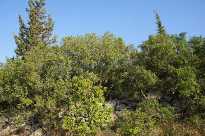 Tsoukalades-Nikos-Ai-Ioannis-View  (3).jpg